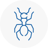 Ant Removals In Towcester